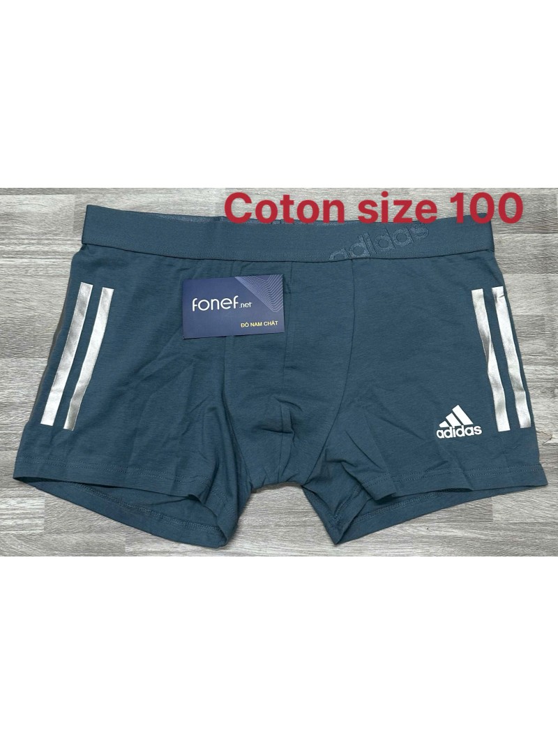 100cotto1.jpg