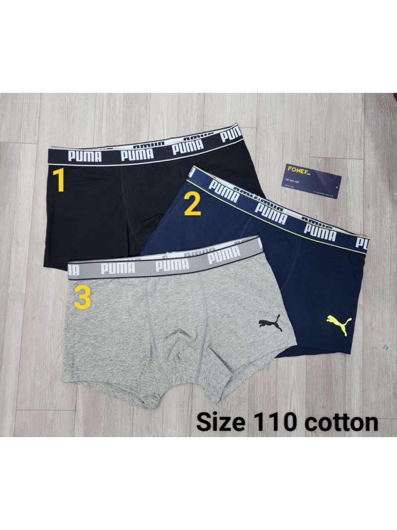 110cotto0.jpg