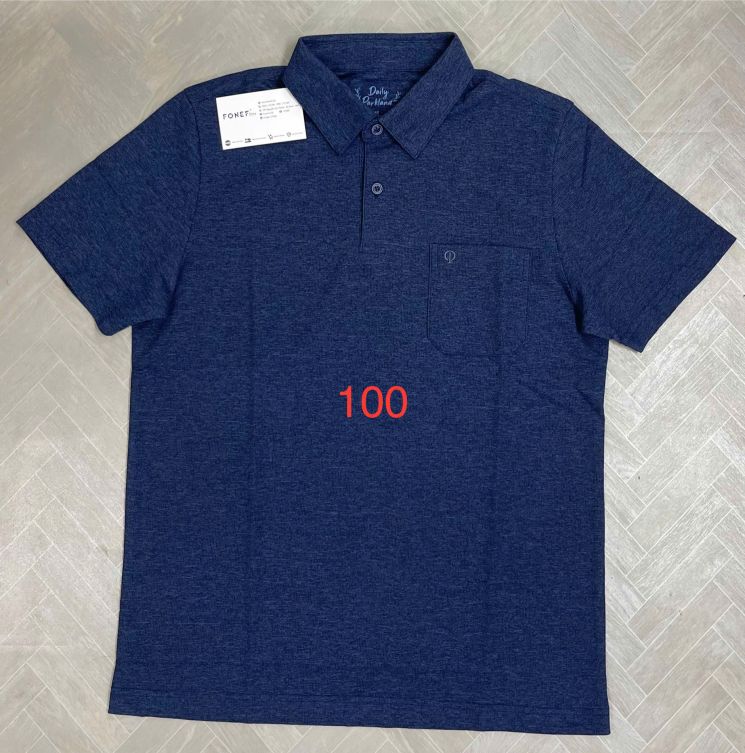 dlp1000.jpg